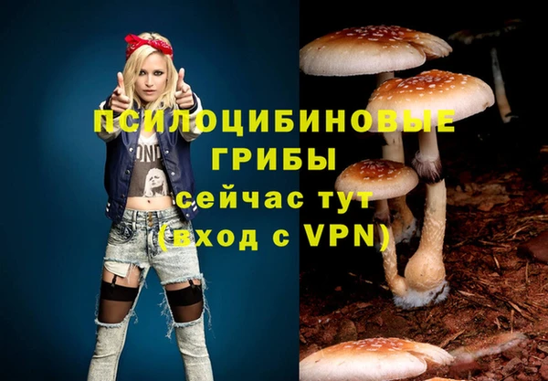 мет Фурманов