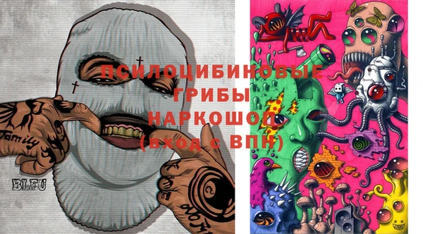 MDMA Premium VHQ Богородицк