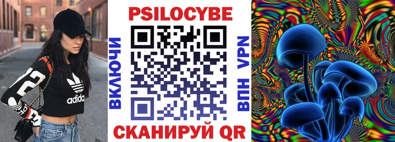 Псилоцибиновые грибы Psilocybine cubensis  Олёкминск 